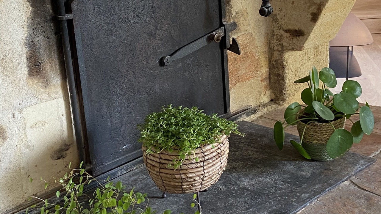 Photo of Outdoor in Grezillac