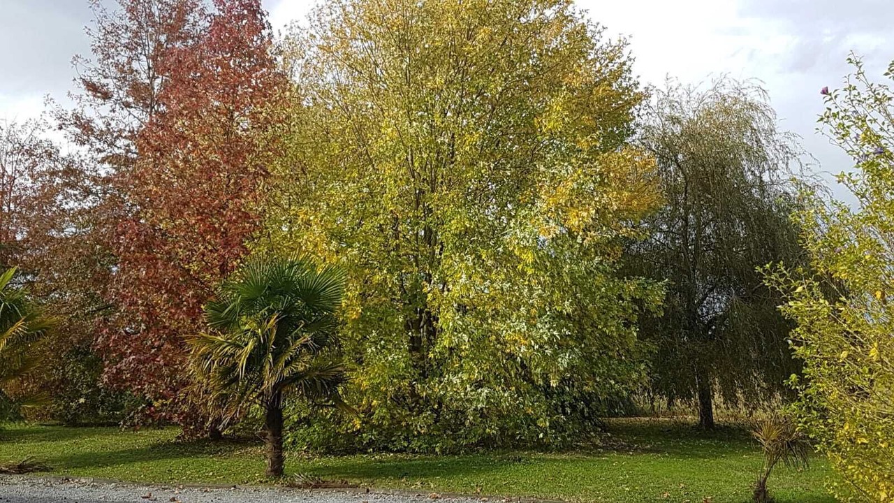 Photo of Outdoor in Pouillon