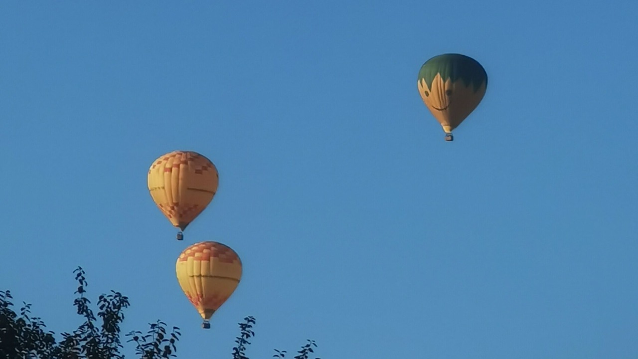 Photo of Others in Castels et Bezenac