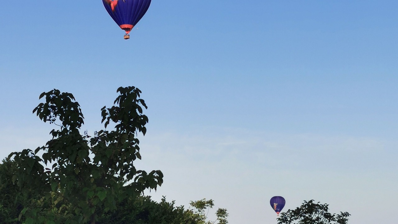Photo of Outdoor in Castels et Bezenac