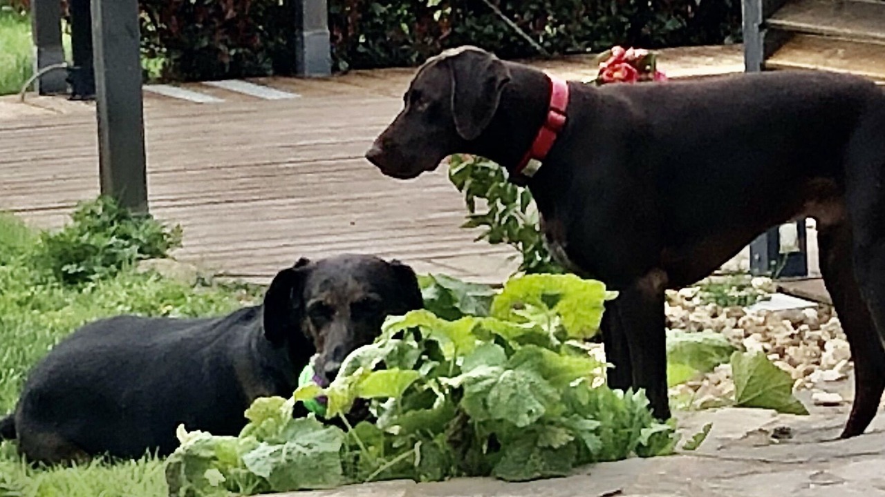 Photo of Others in Saint-Martin-de-Fressengeas