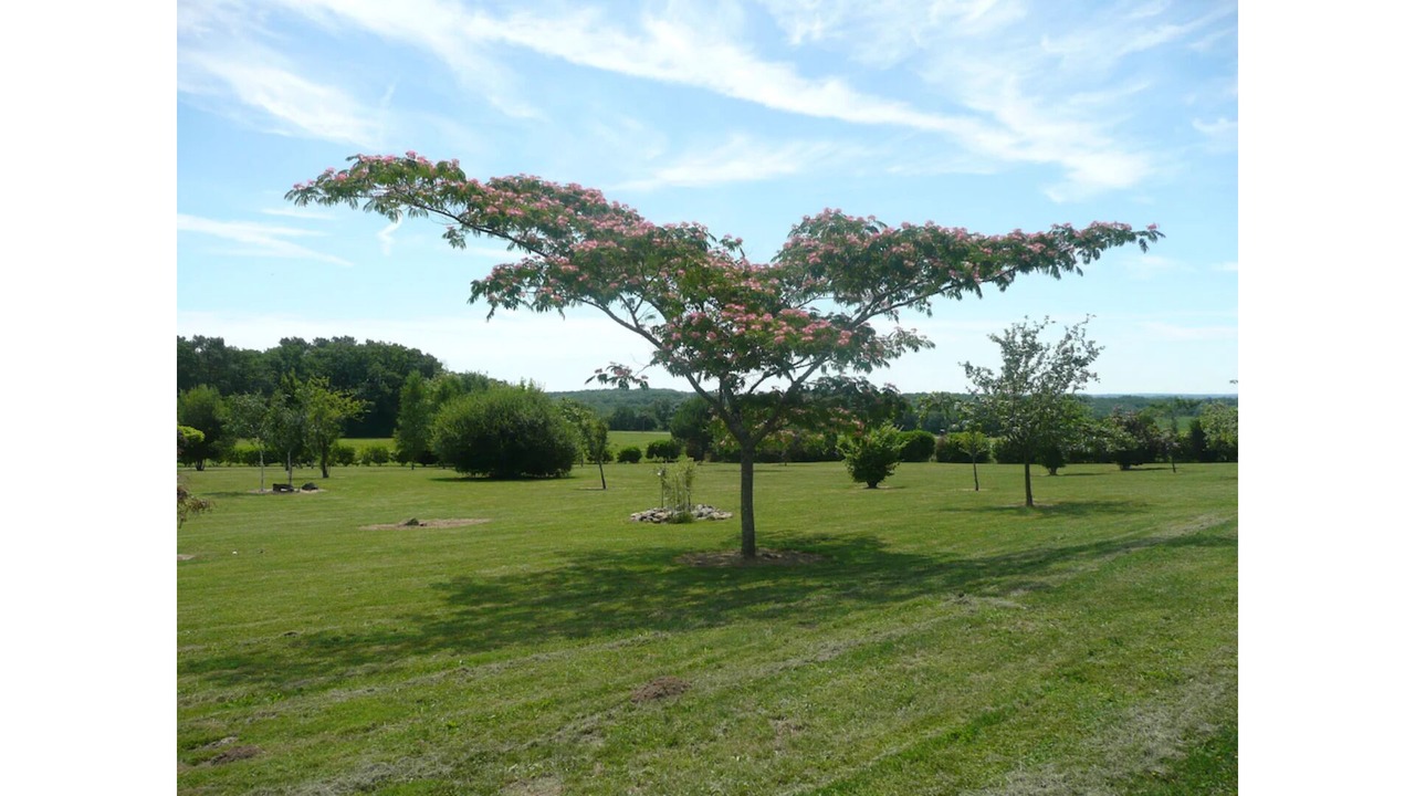 Photo of Outdoor in Rampieux