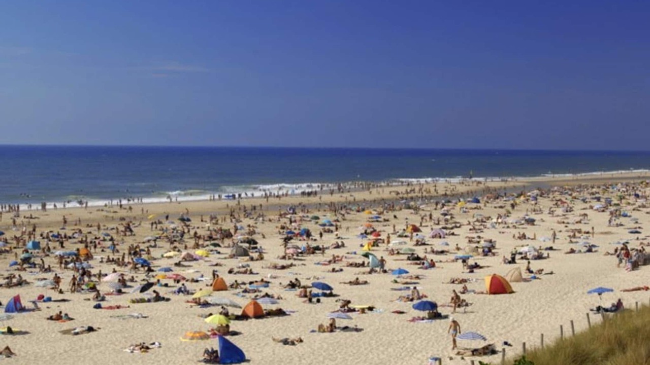 Photo of Others in Carcans Plage