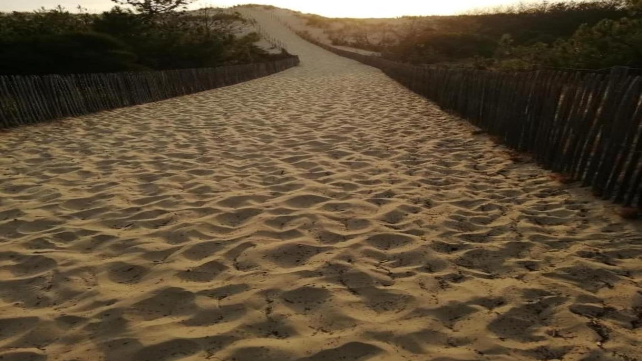 Photo of Others in Carcans Plage