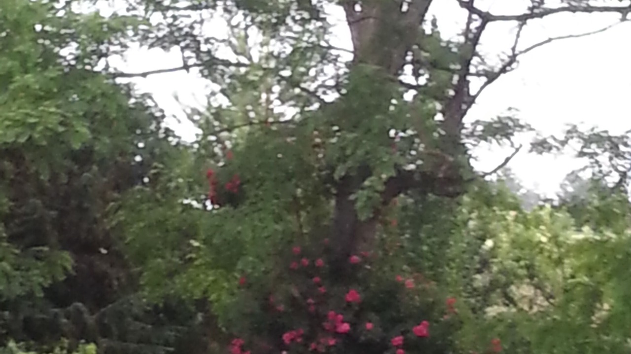 Photo of Outdoor in Francescas