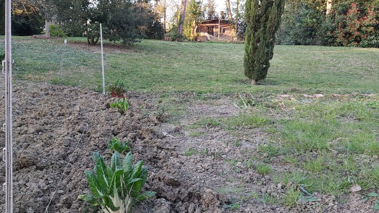 Photo of Outdoor in Francescas