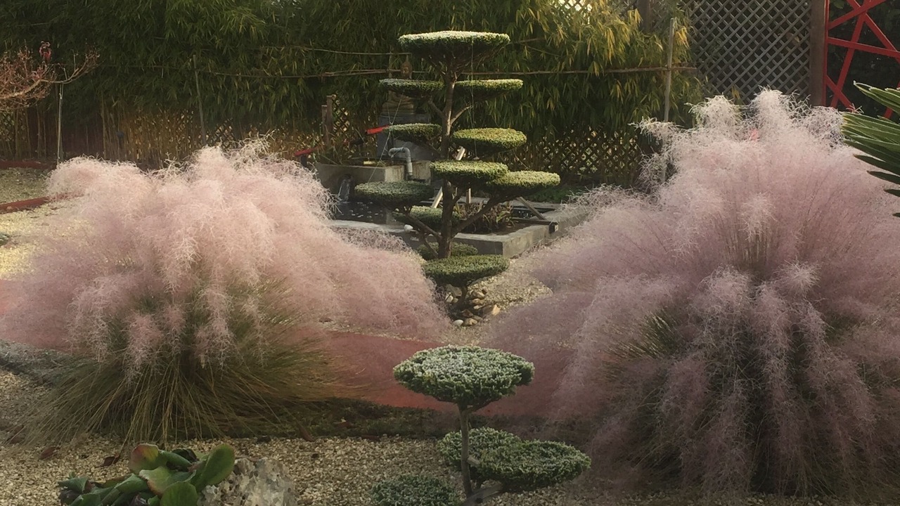 Photo of Outdoor in Saint-Medard-de-Guizieres