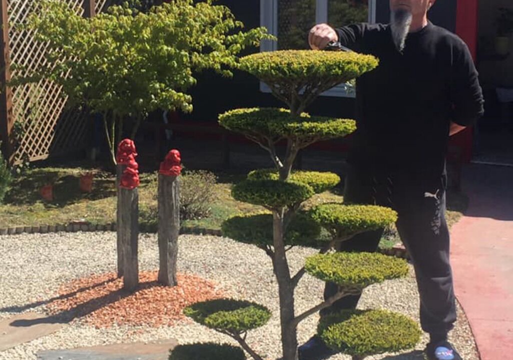 Photo of Outdoor in Saint-Medard-de-Guizieres