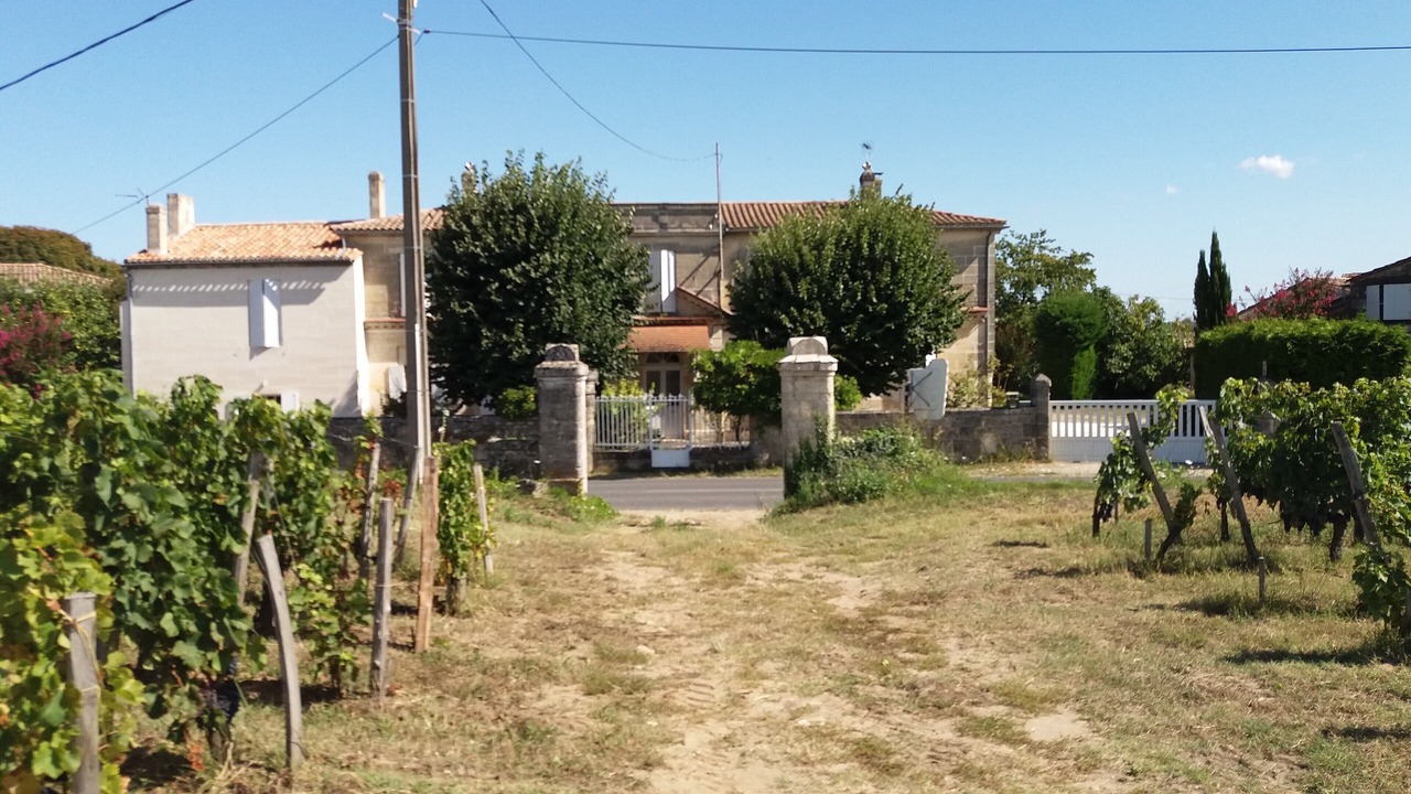 Photo of Outdoor in Saint-Emilion