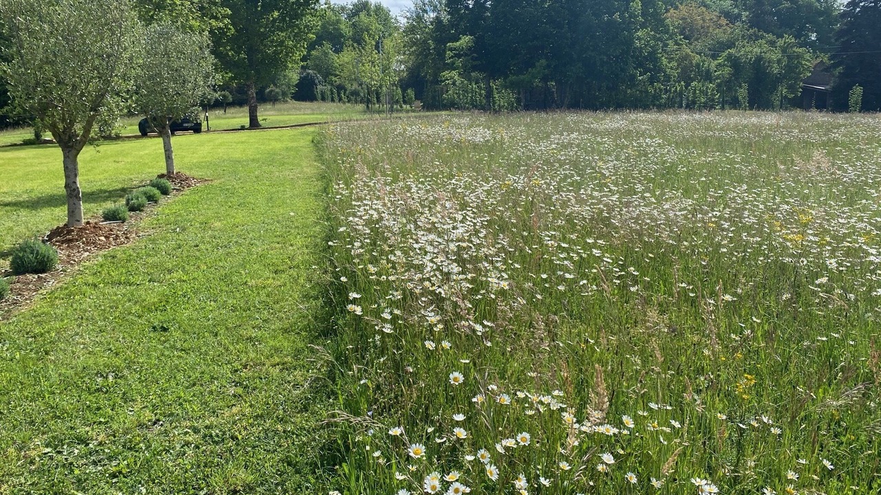 Photo of Outdoor in Tremolat