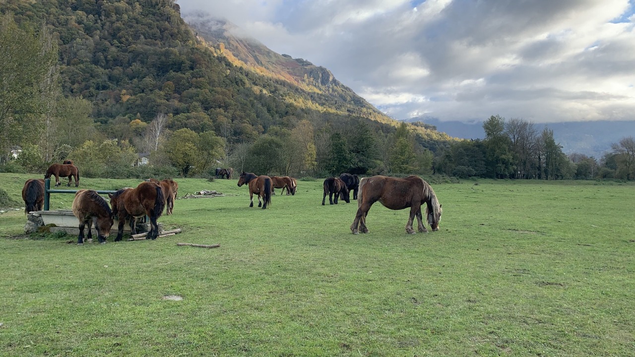 Photo of Outdoor in Aste-Beon