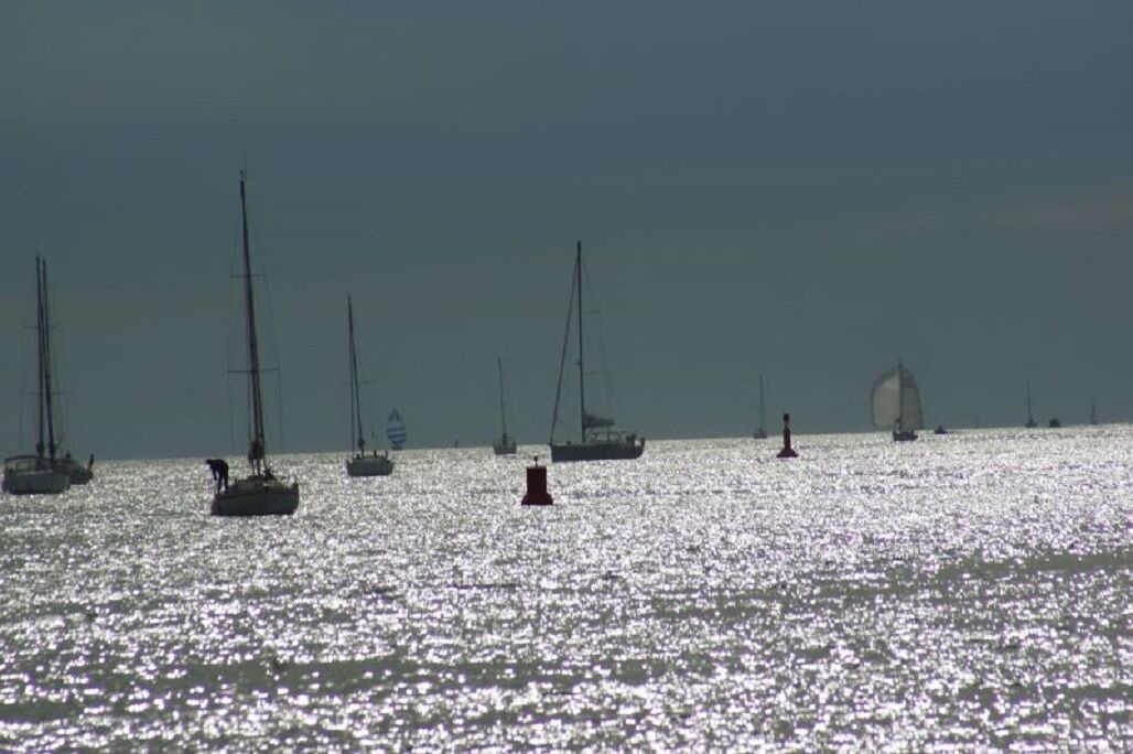 Photo of Others in Le Bois-Plage-en-Re