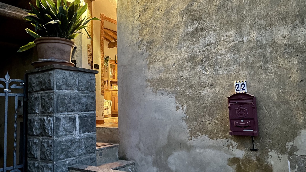 Photo of Outdoor in Montescudaio