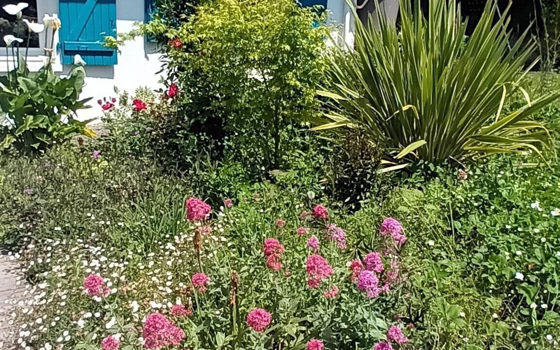 Photo of Outdoor in Mouguerre