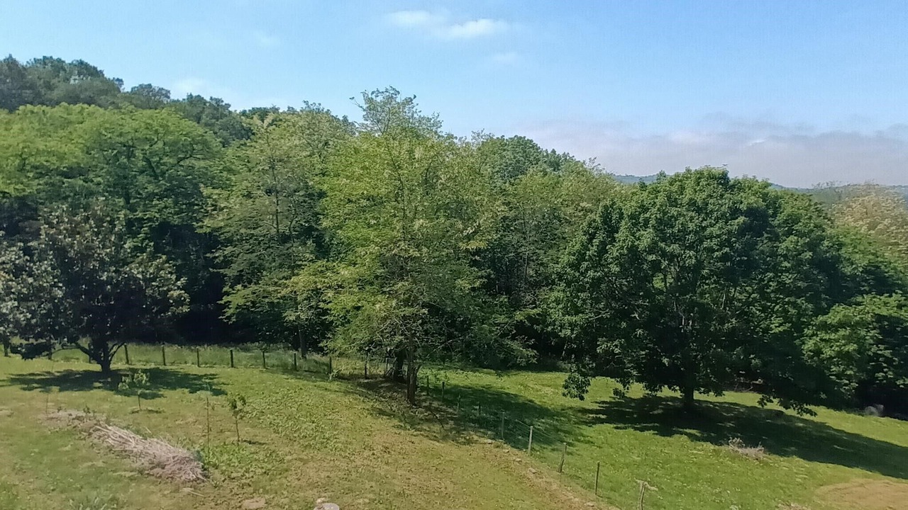 Photo of Outdoor in Mouguerre