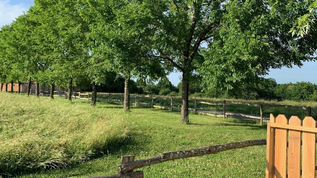Photo of Outdoor in Capdrot