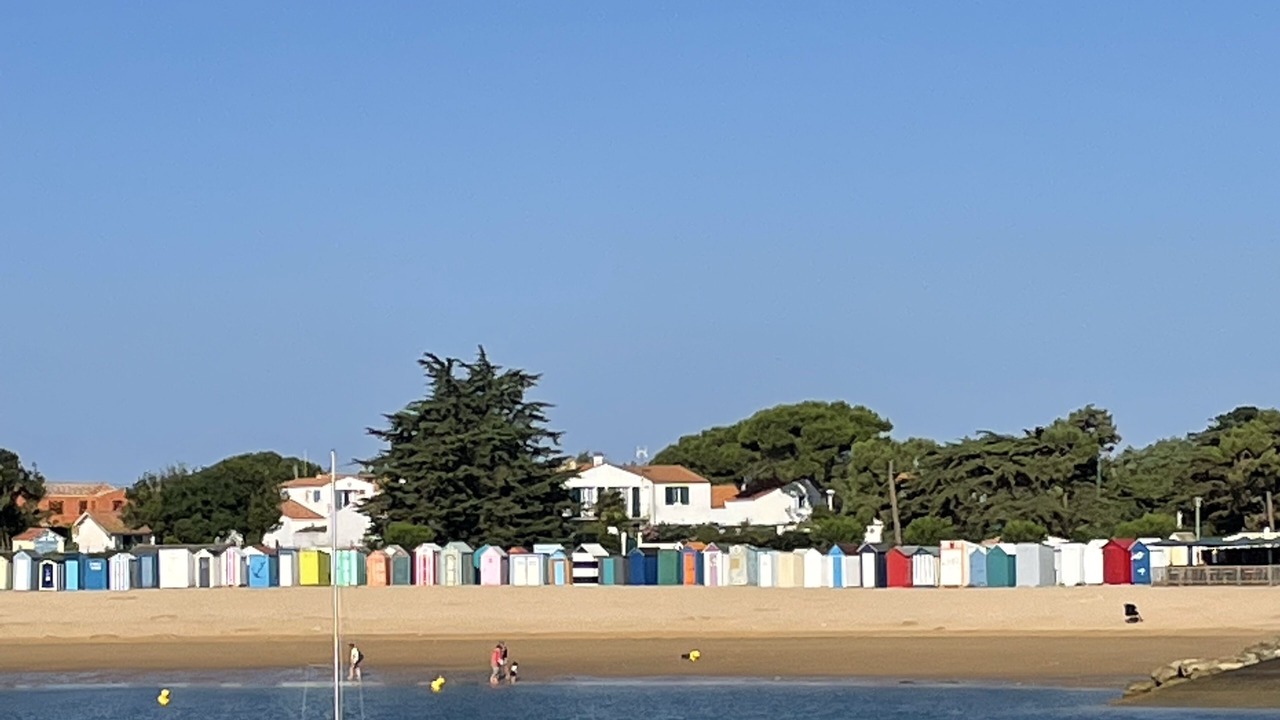 Photo of Others in Saint-Denis-d'Oleron