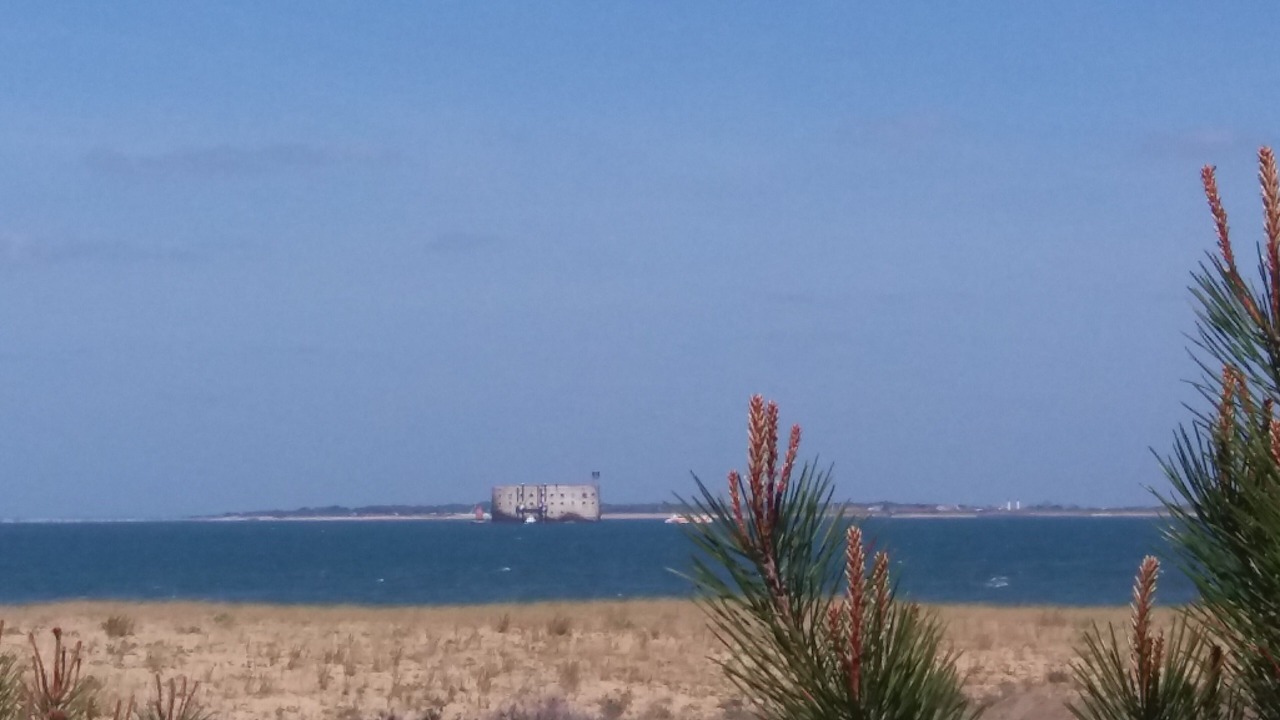 Photo of Others in Saint-Georges-d'Oleron