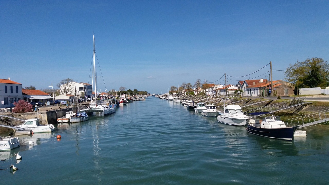 Photo of Others in Saint-Georges-d'Oleron