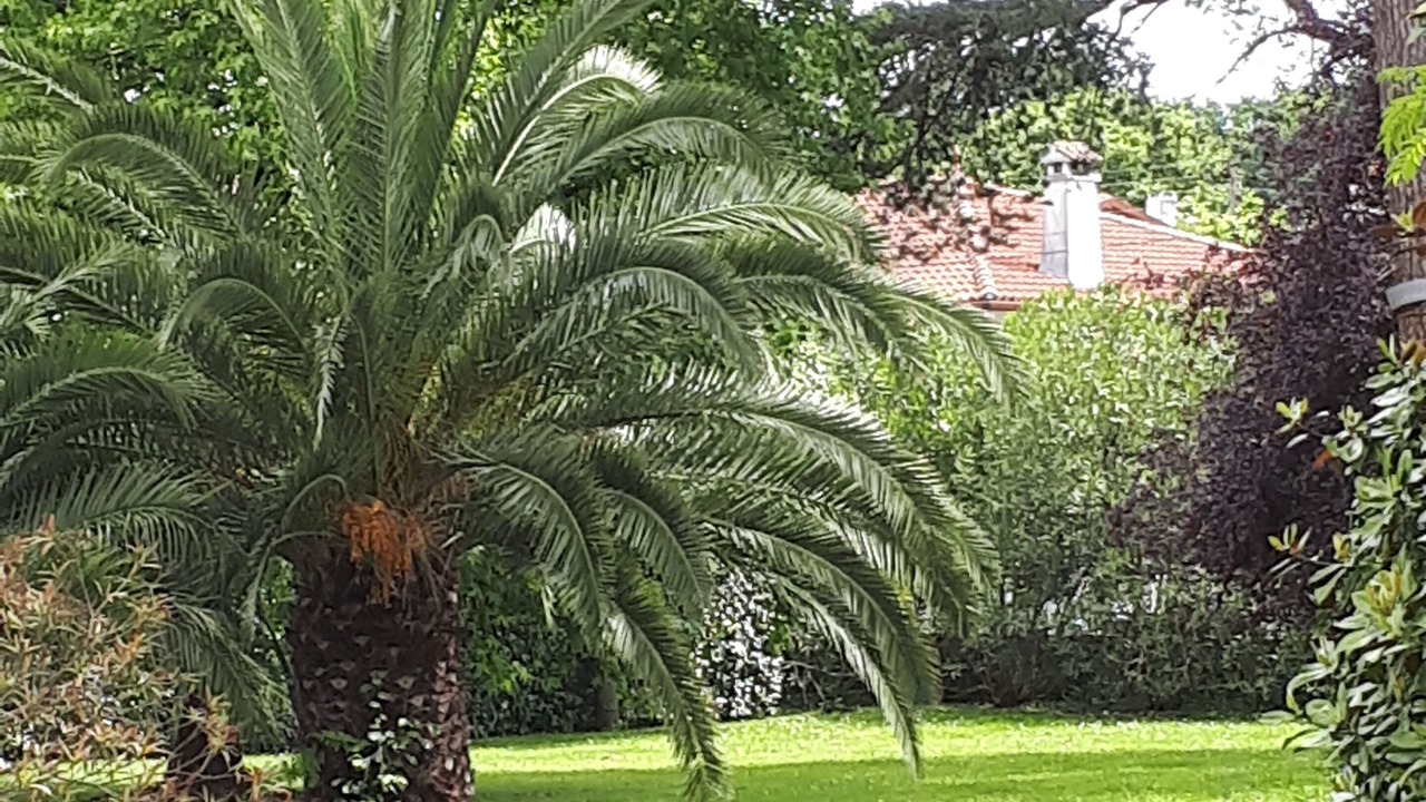 Photo of Outdoor in Biarritz