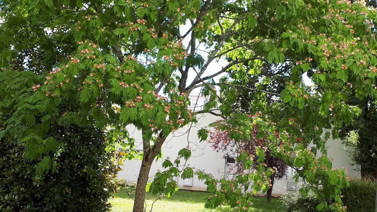 Photo of Outdoor in Biarritz