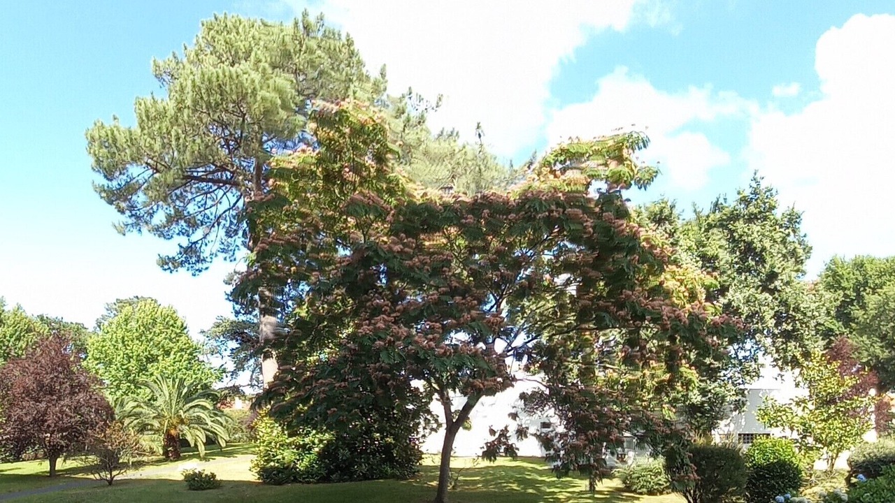 Photo of Outdoor in Biarritz