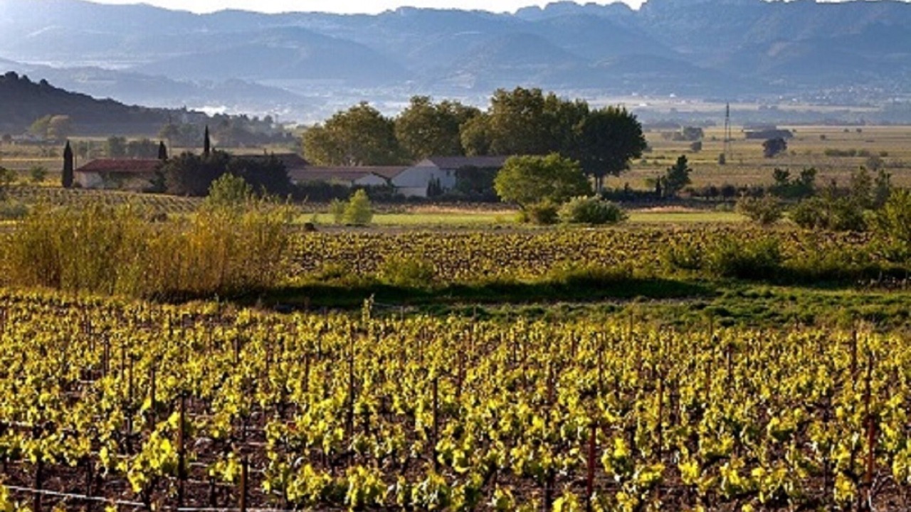 Photo of Others in Cairanne