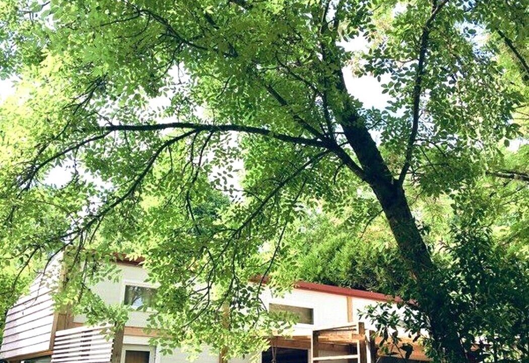 Photo of Outdoor in Meschers-sur-Gironde