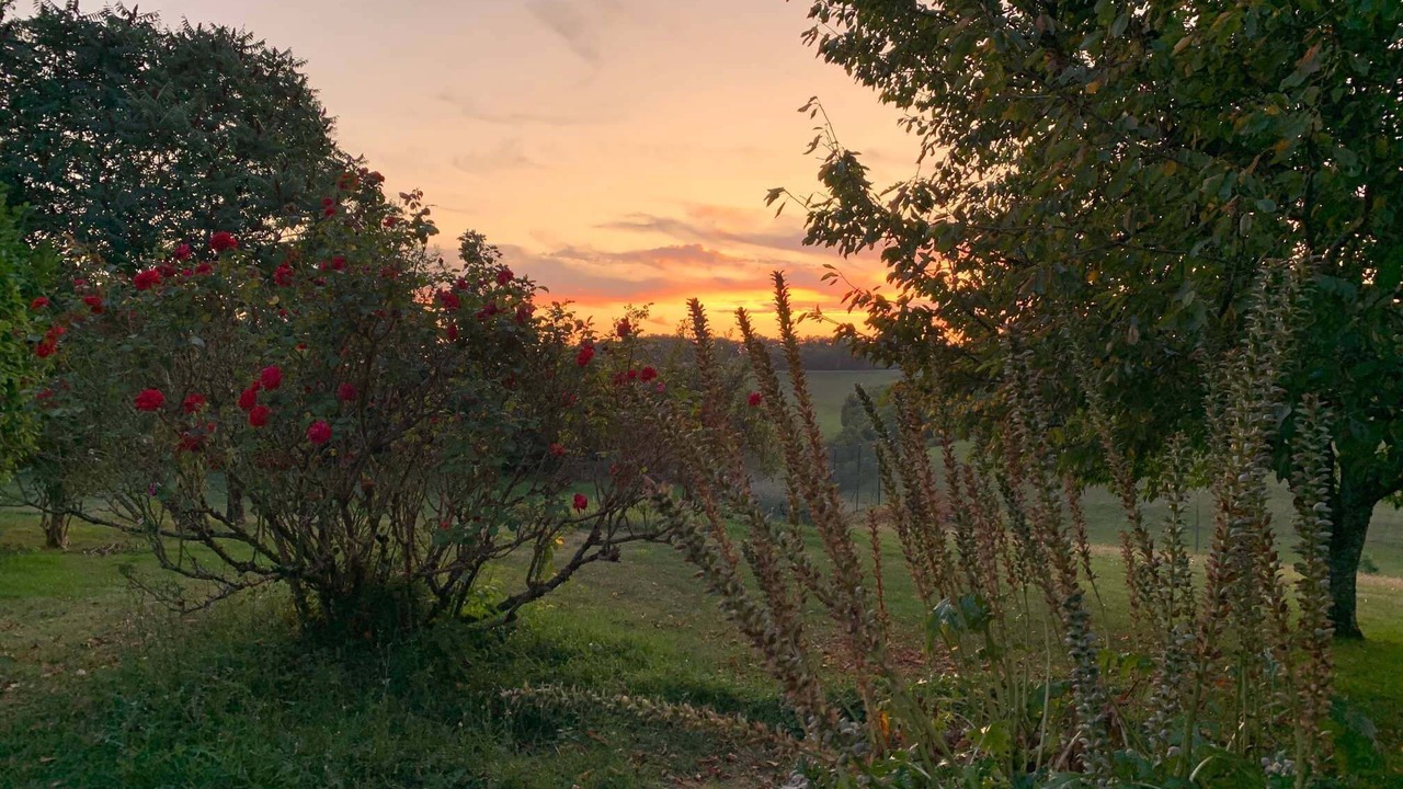 Photo of Outdoor in Juignac