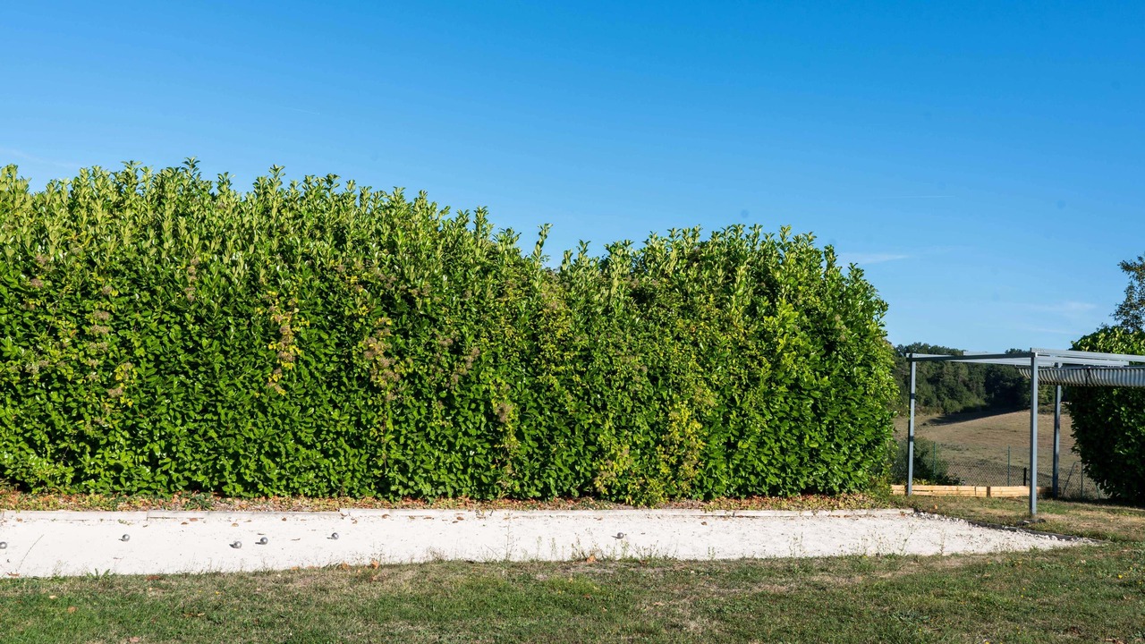Photo of Outdoor in Juignac