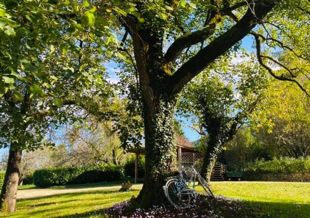Photo of Outdoor in Berbiguieres