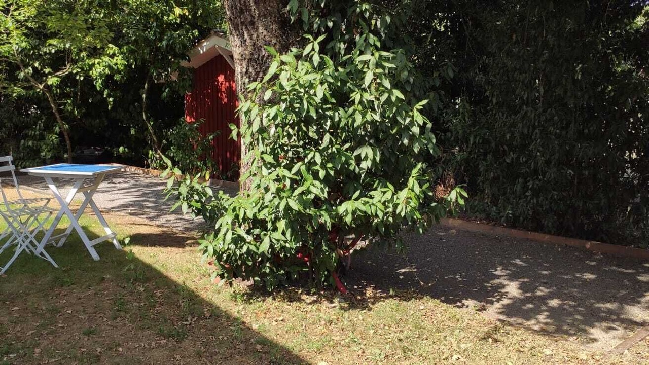 Photo of Outdoor in Gradignan