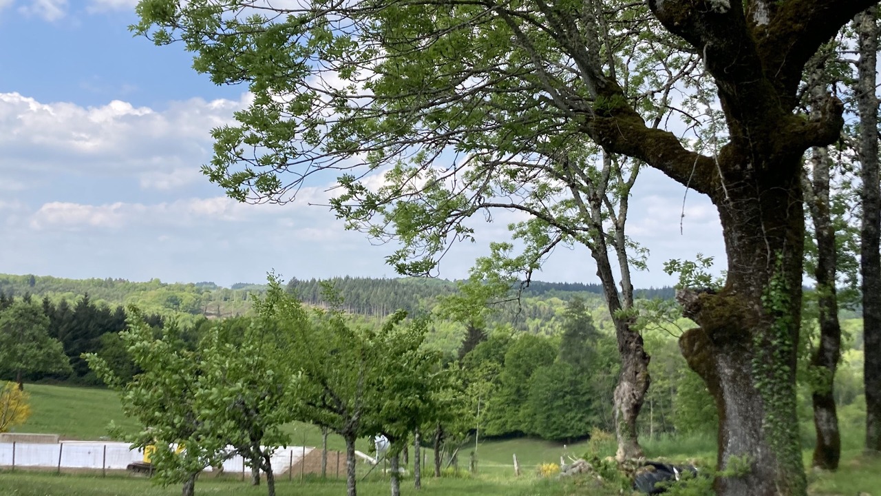 Photo of Outdoor in Serandon