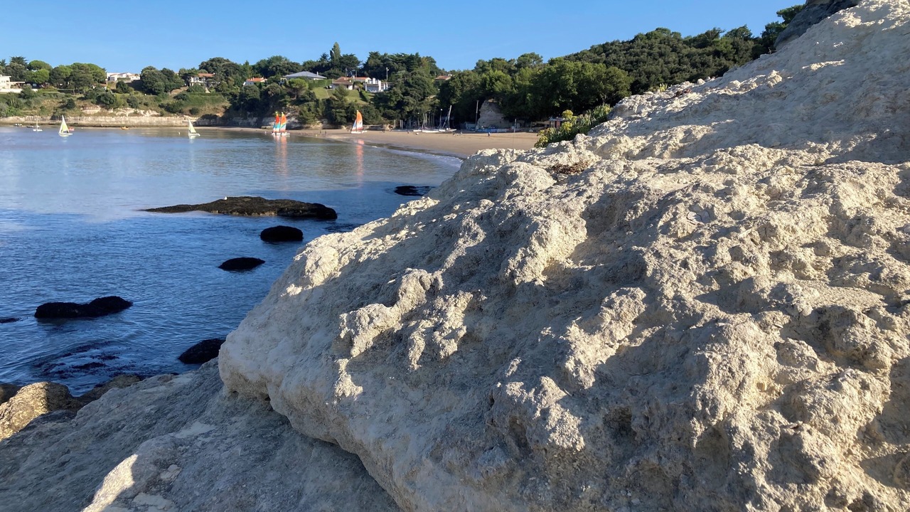 Photo of Others in Meschers-sur-Gironde