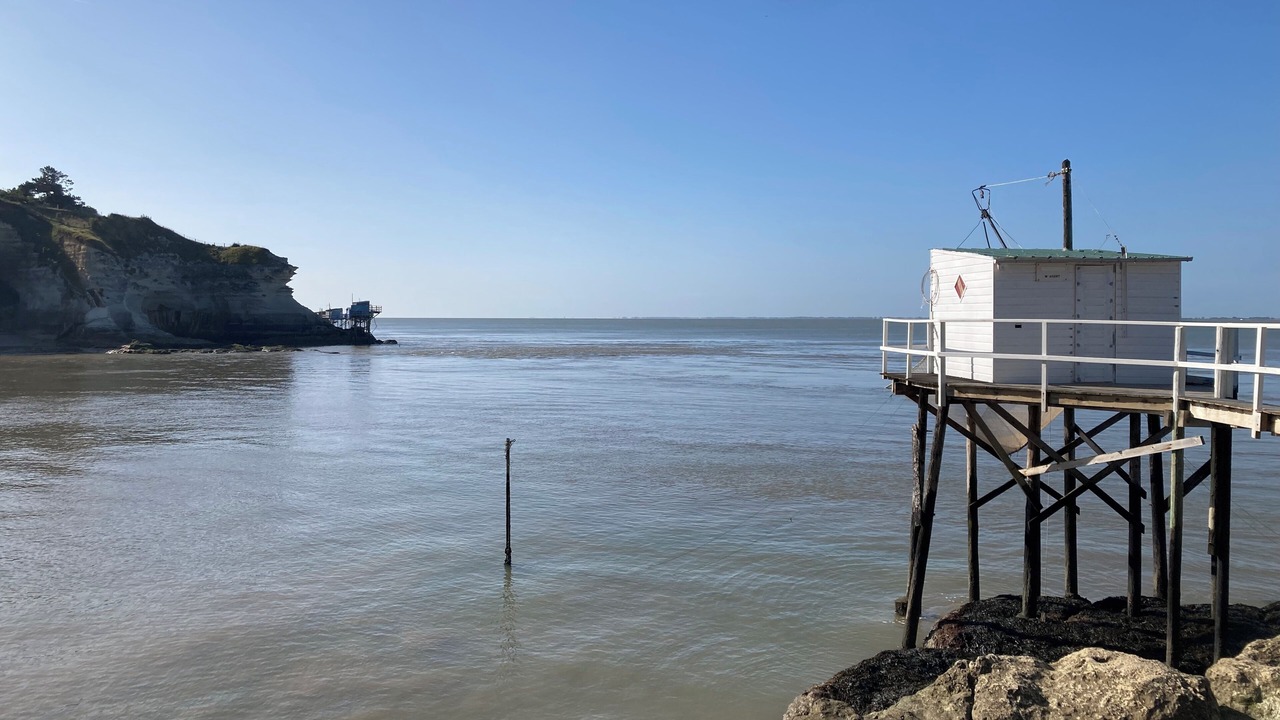 Photo of Others in Meschers-sur-Gironde