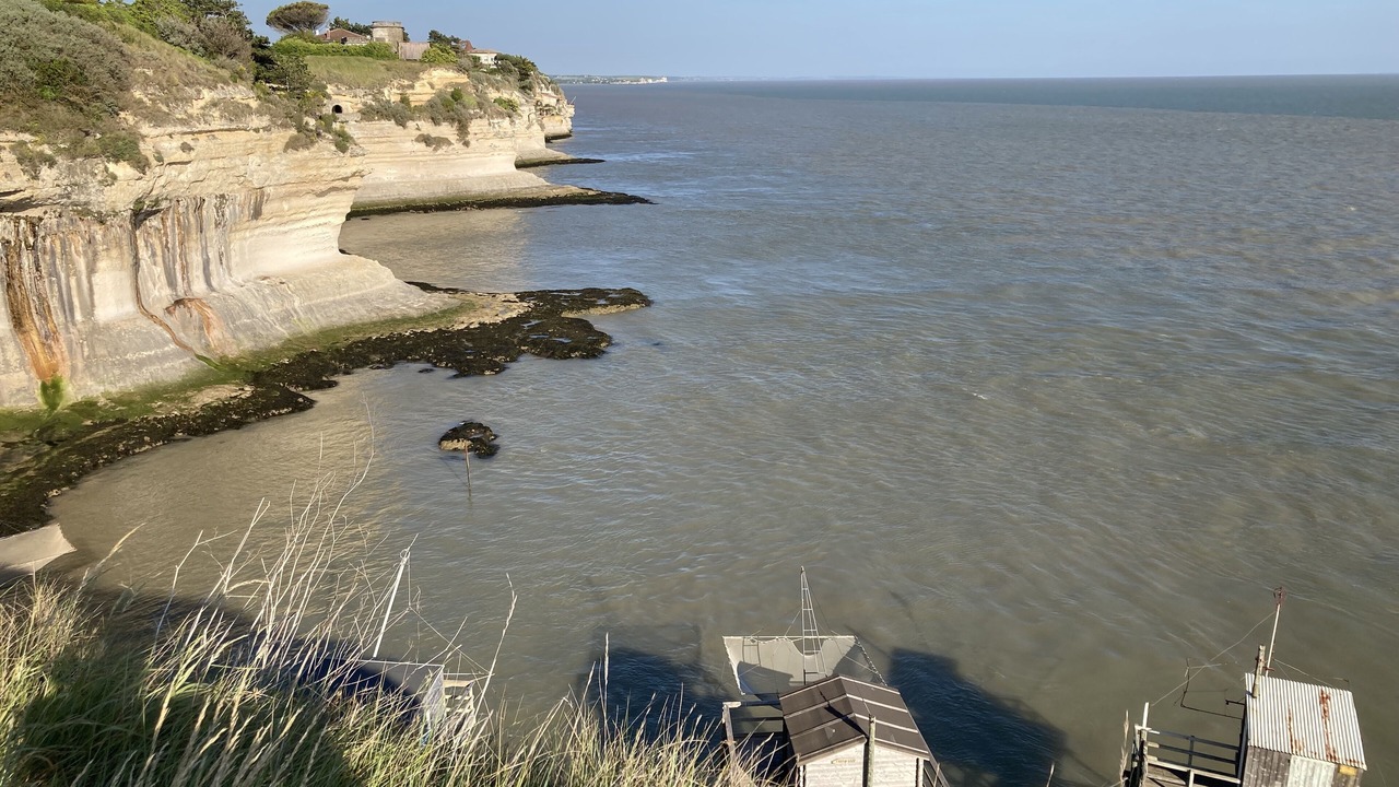 Photo of Others in Meschers-sur-Gironde