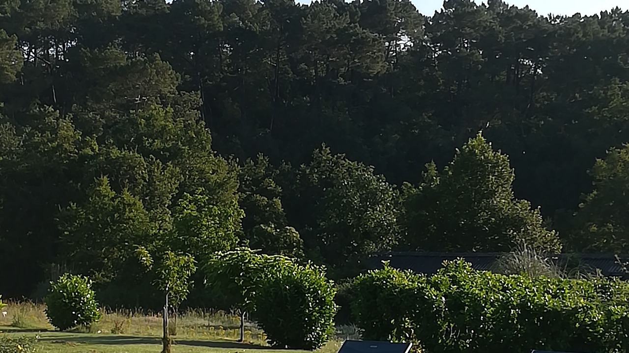 Photo of Outdoor in Les Cabanes