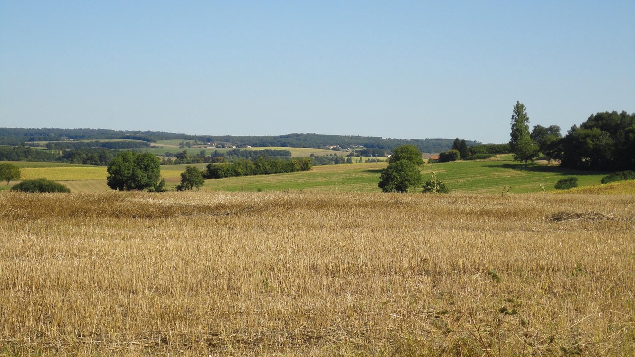 Photo of Others in Courgeac
