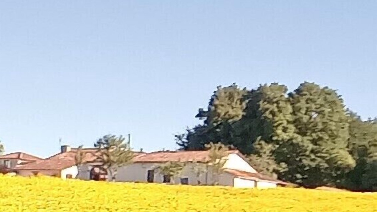 Photo of Others in Courgeac