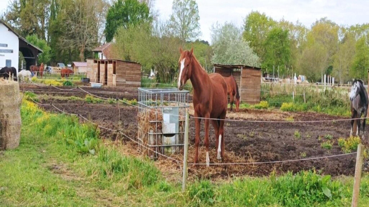 Photo of Others in Aureilhan