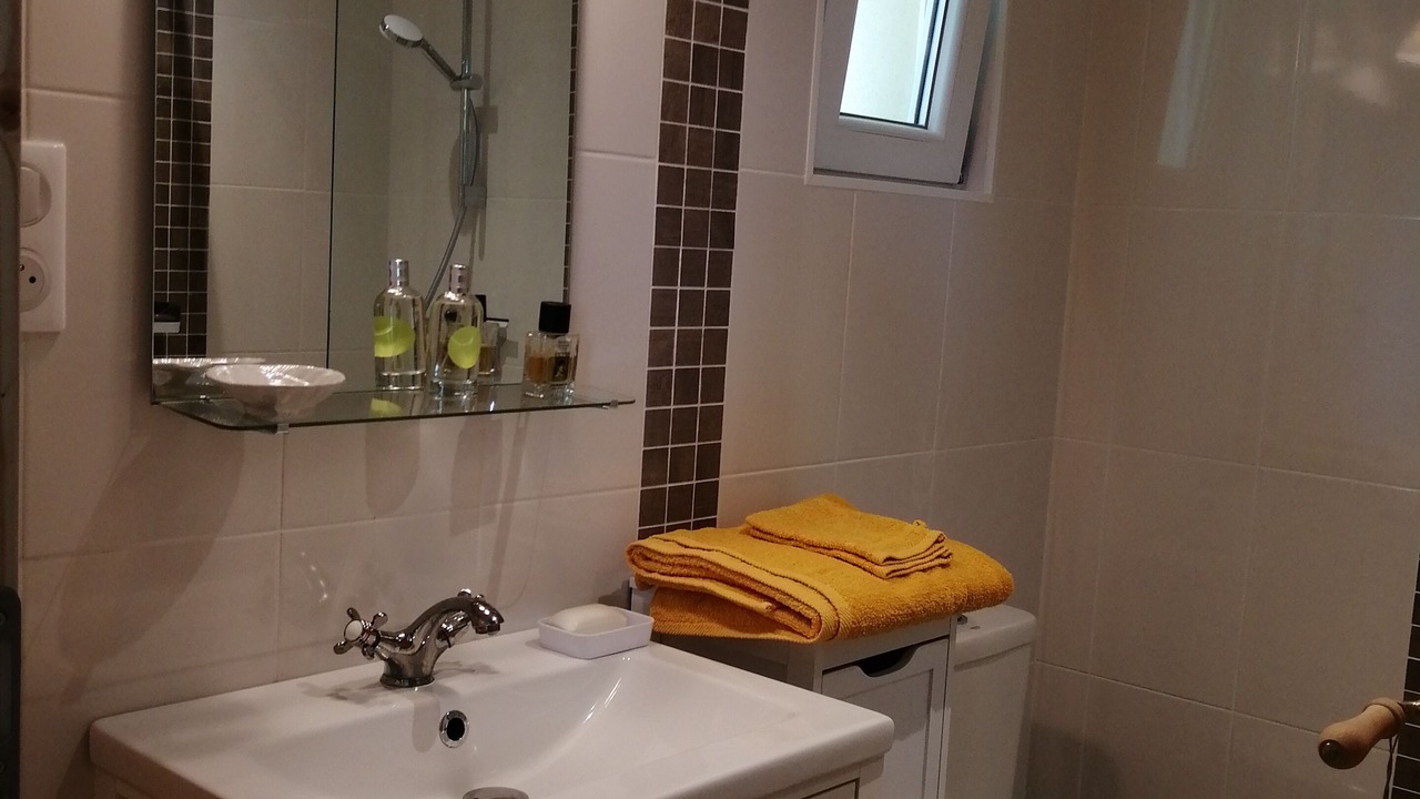 Photo of Bathroom in Saint-Andre-dAllas