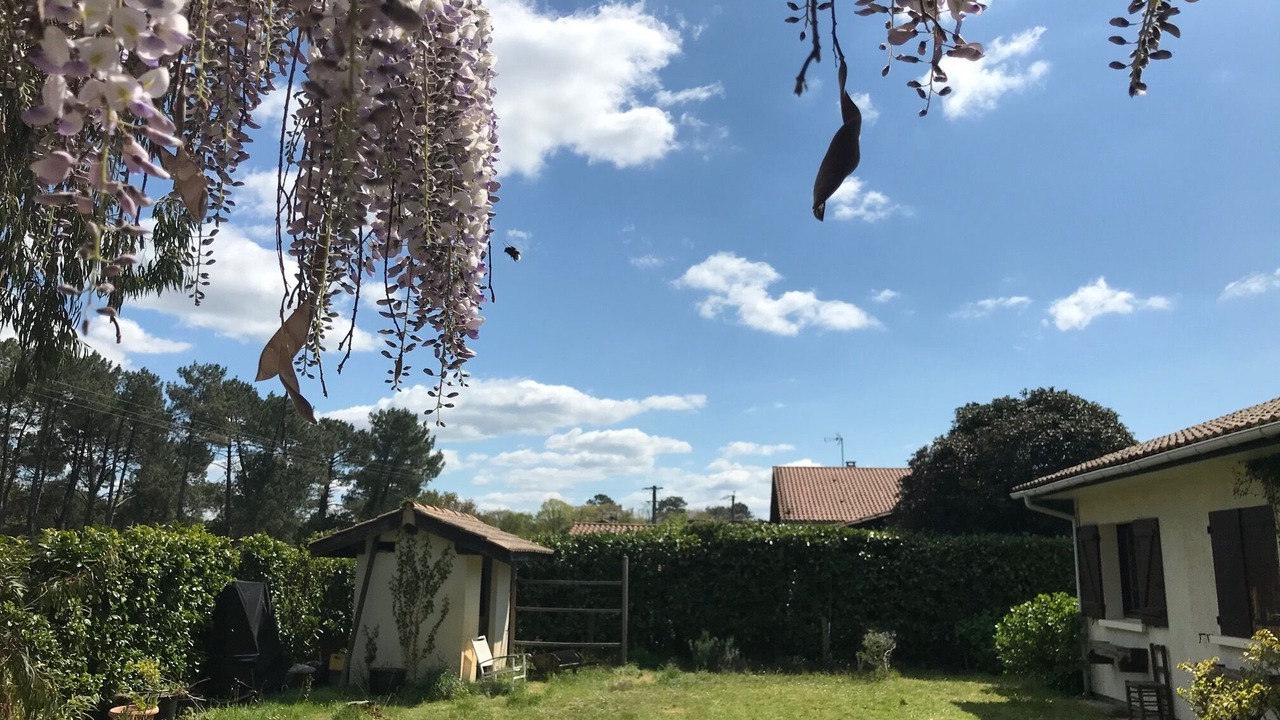 Photo of Outdoor in Cazaux