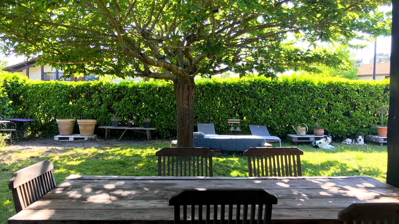 Photo of Outdoor in Cazaux