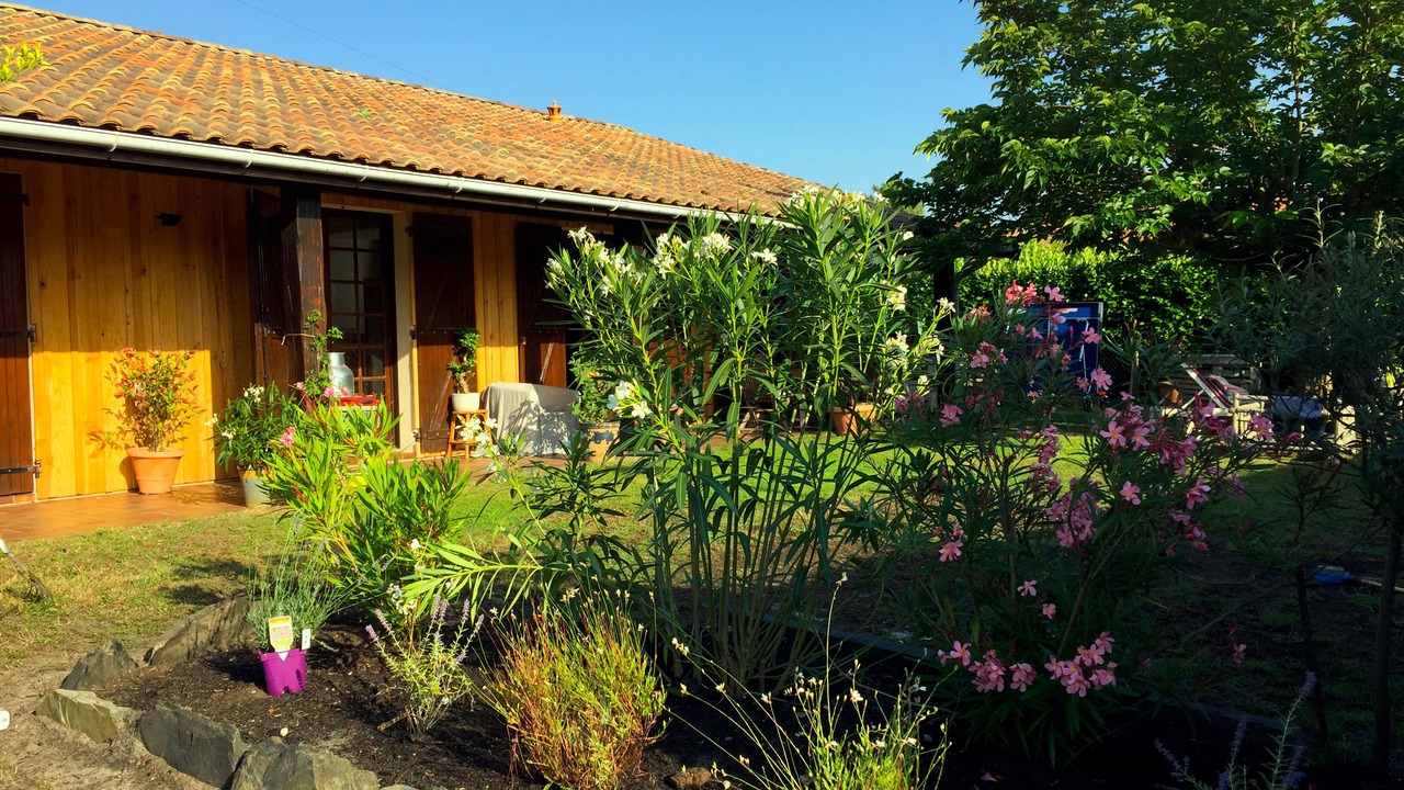 Photo of Outdoor in Cazaux
