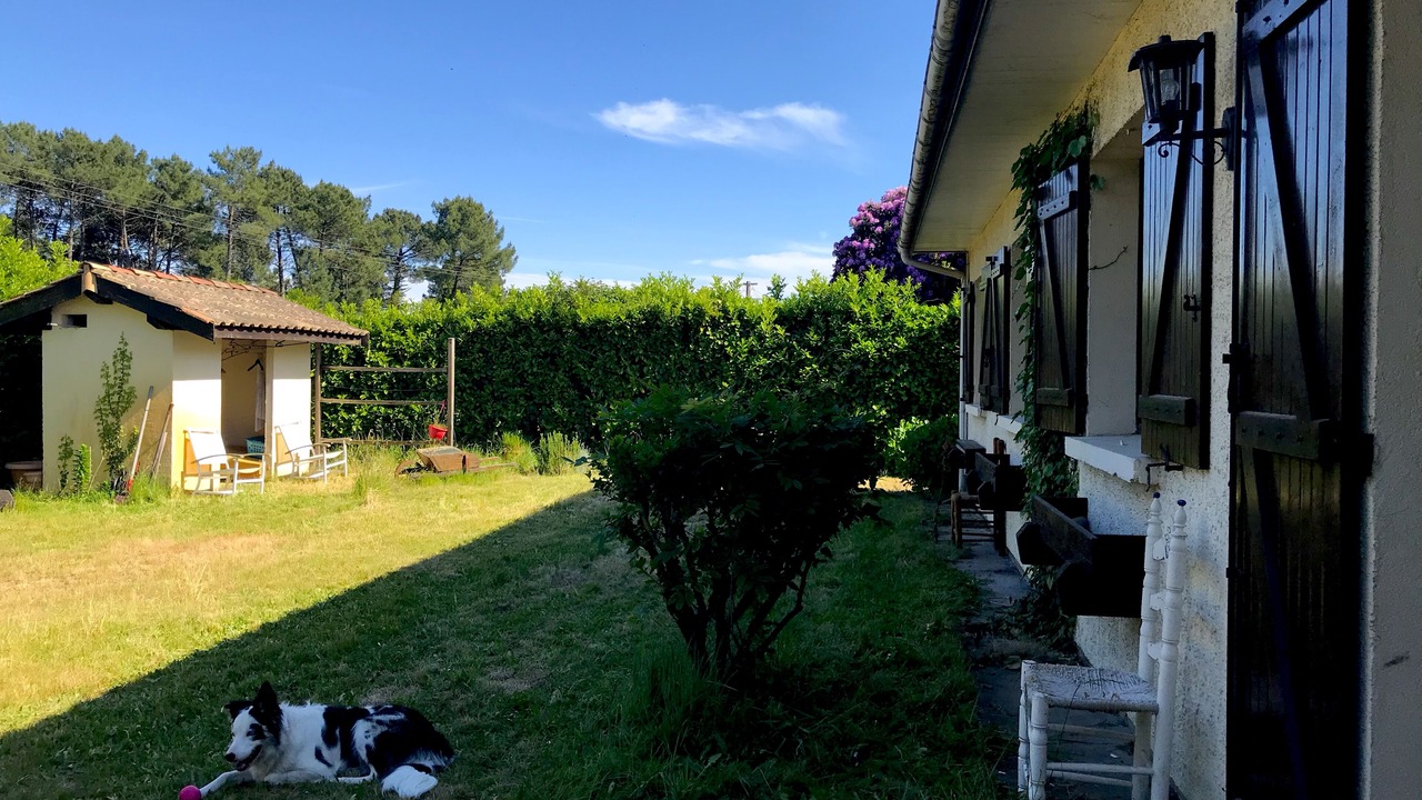 Photo of Outdoor in Cazaux