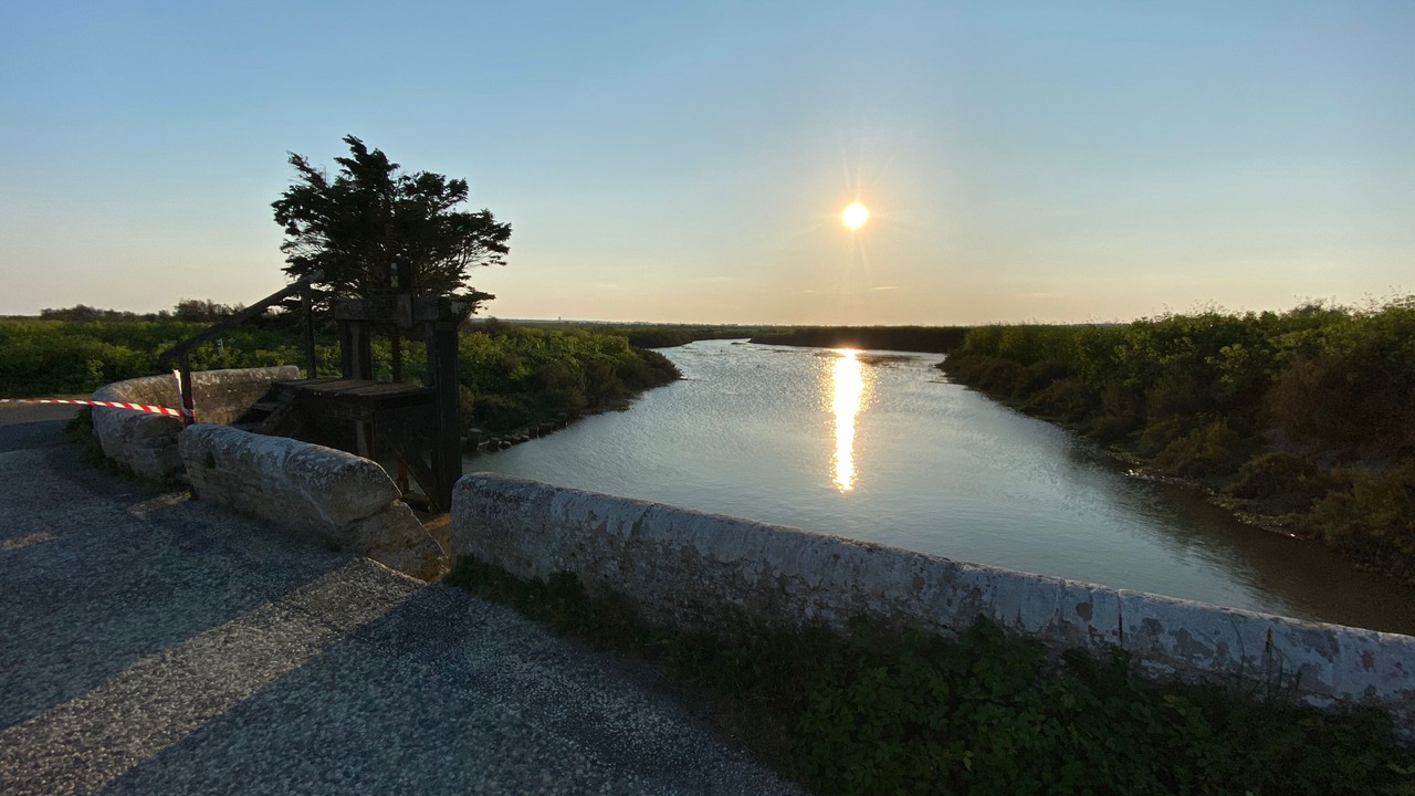 Photo of Outdoor in Les Portes-en-Re