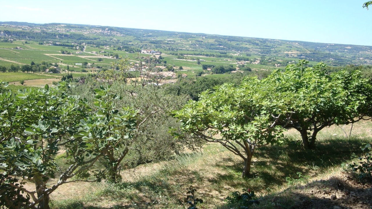 Photo of Others in Seguret