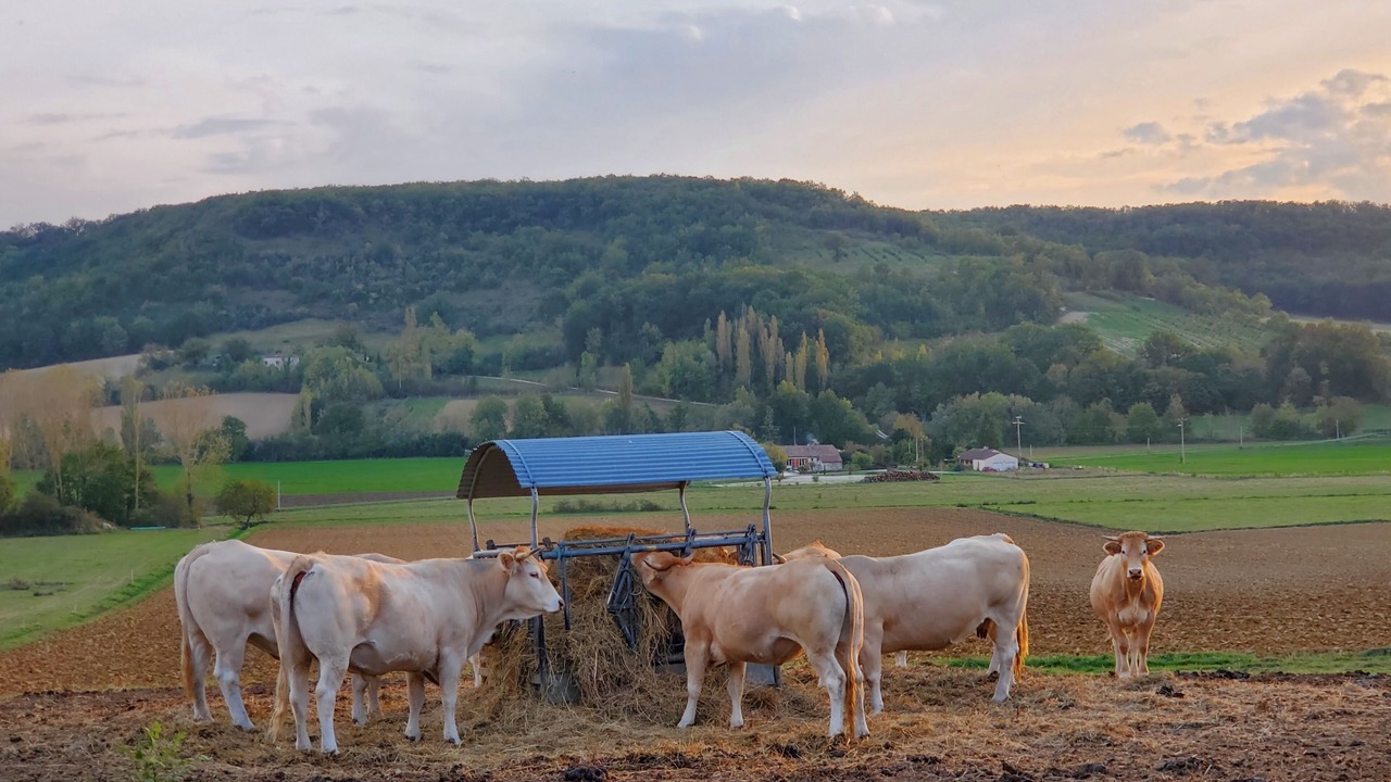 Photo of Outdoor in Tournon-d'Agenais