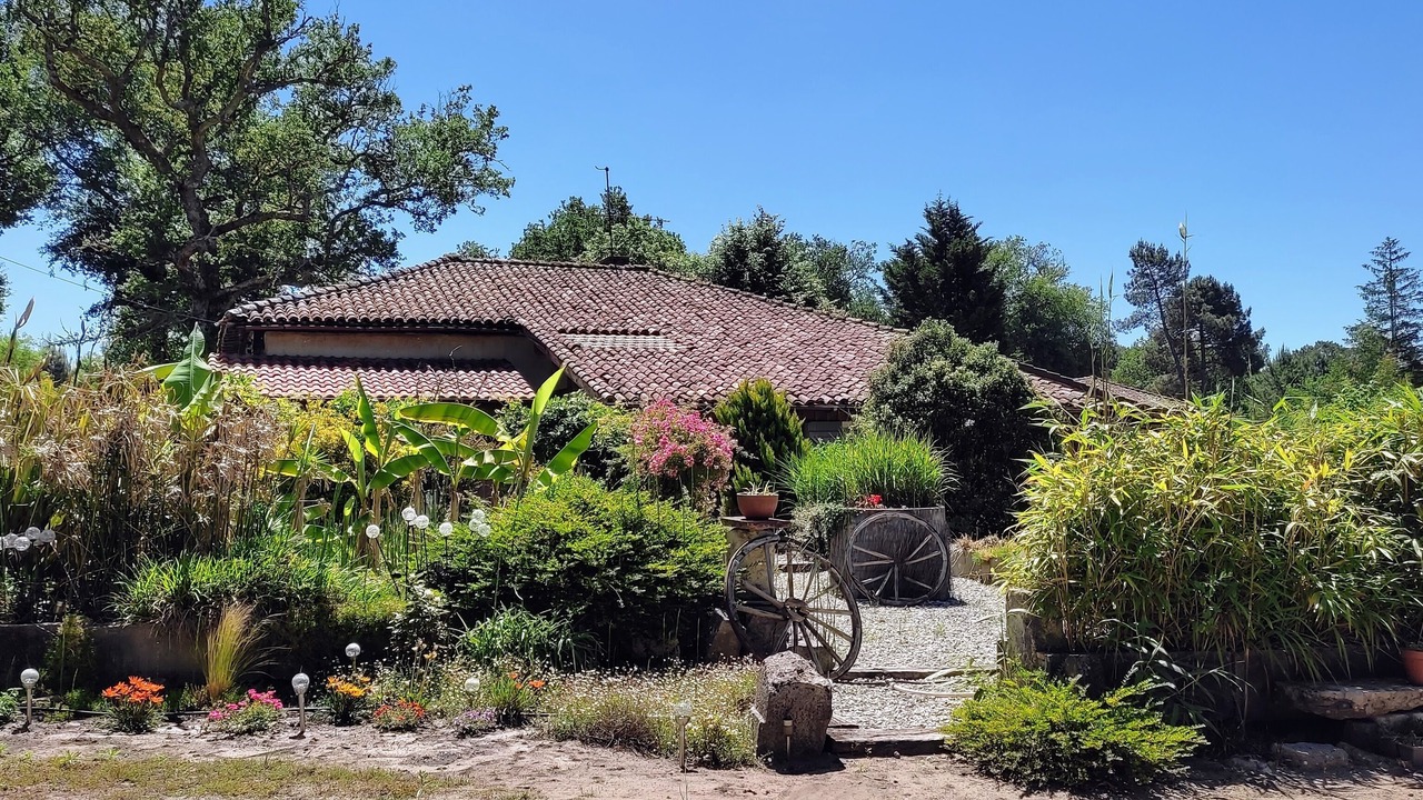 Photo of Outdoor in Saint-Michel-Escalus