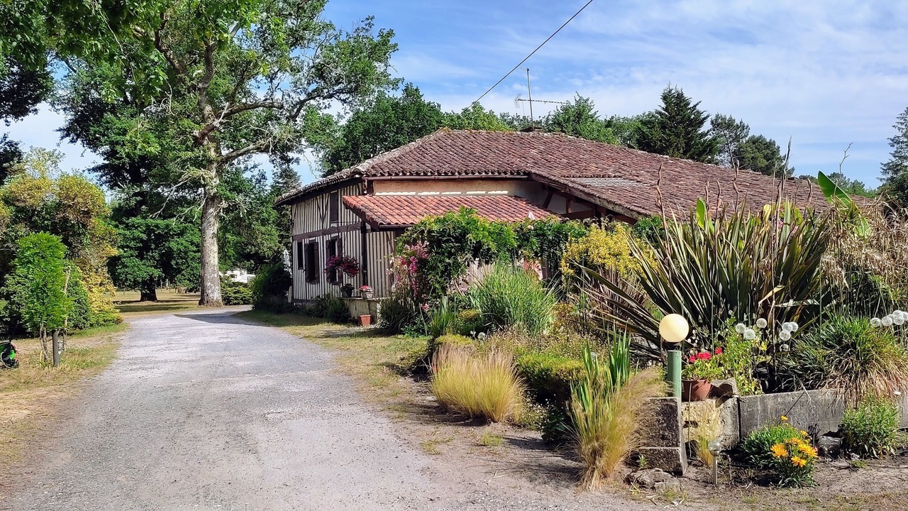 Photo of Outdoor in Saint-Michel-Escalus